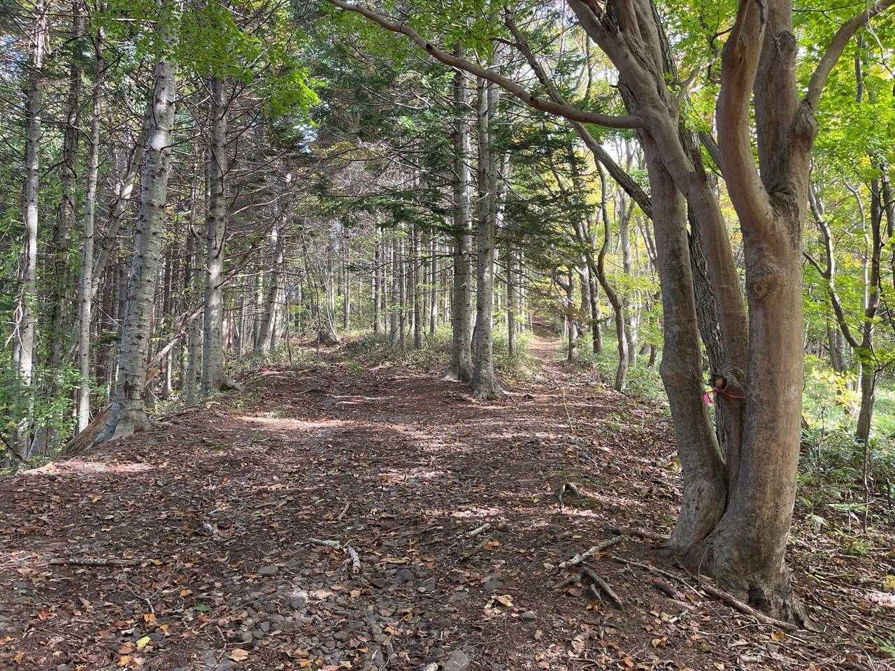 右➡️へ
左に降りる道は昔の湯治場小屋へ
現在はお湯も溜まってません