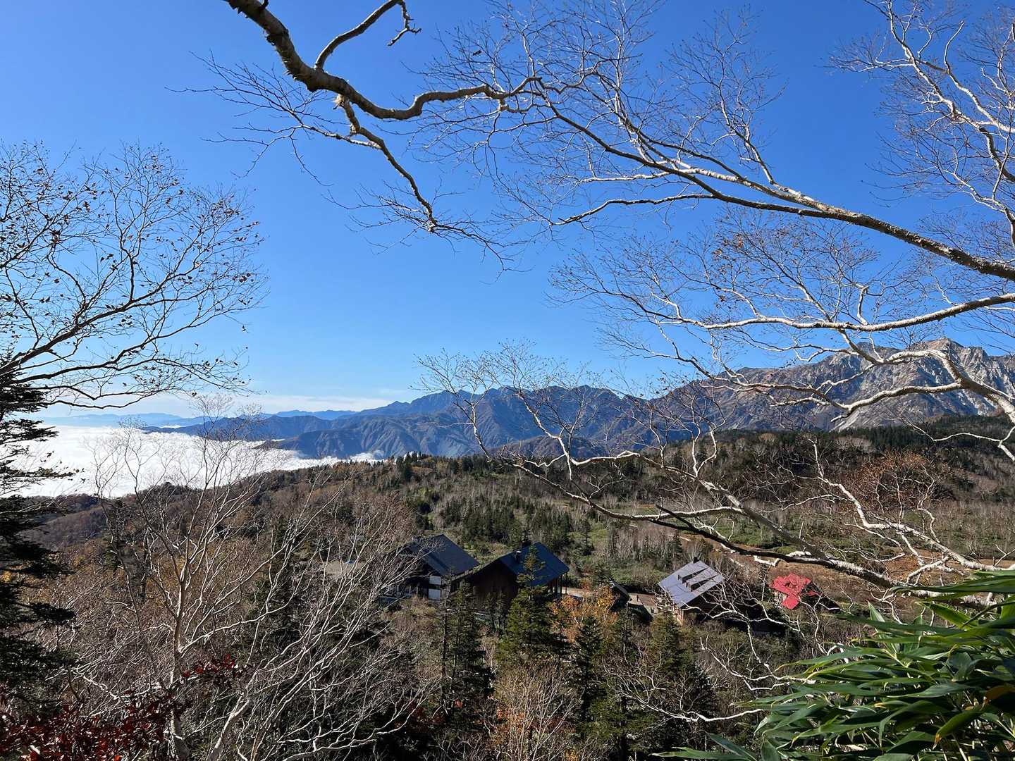 振り返る〜
まーまー登ってきたけど🥱
白馬岳を考えたら全然だわーー笑笑