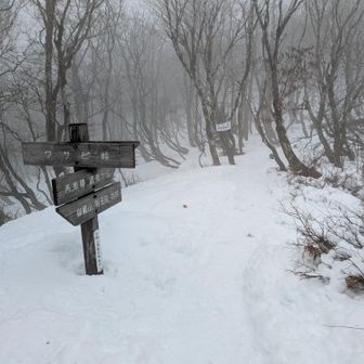 9時半～10時頃から晴れ予報。
少しペースを落として時間調整します！