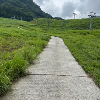 ここの下りから膝と足の小指がなんか痛い〜と言うと、後ろ向きでクライムダウンしたらと言われて、後ろ向きで歩いたら全然痛くなかった😳
この後はアスファルトの坂道が待ってたけど下るよりはマシでした🤣