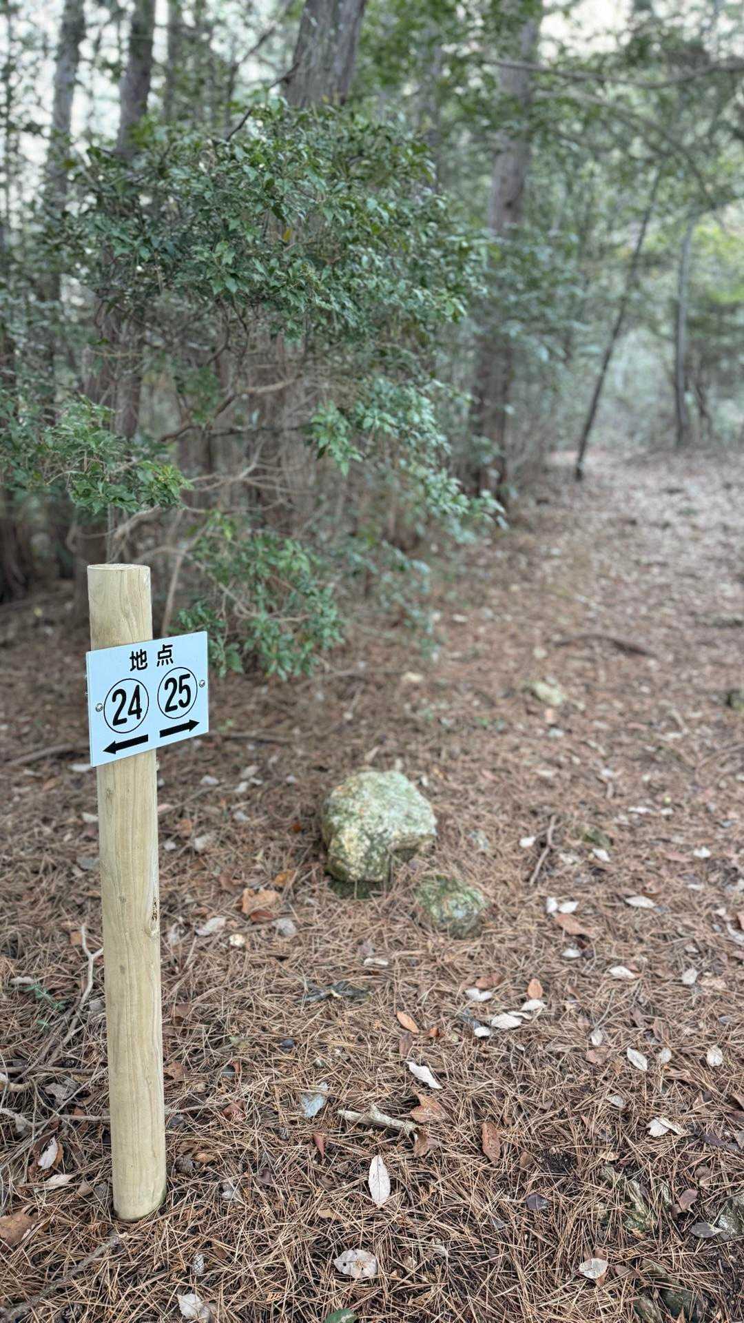 百々ヶ峰 往復コースの写真