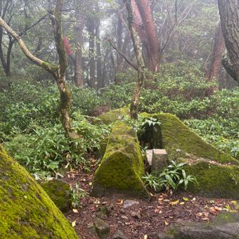 坊主山にも立ち寄りました