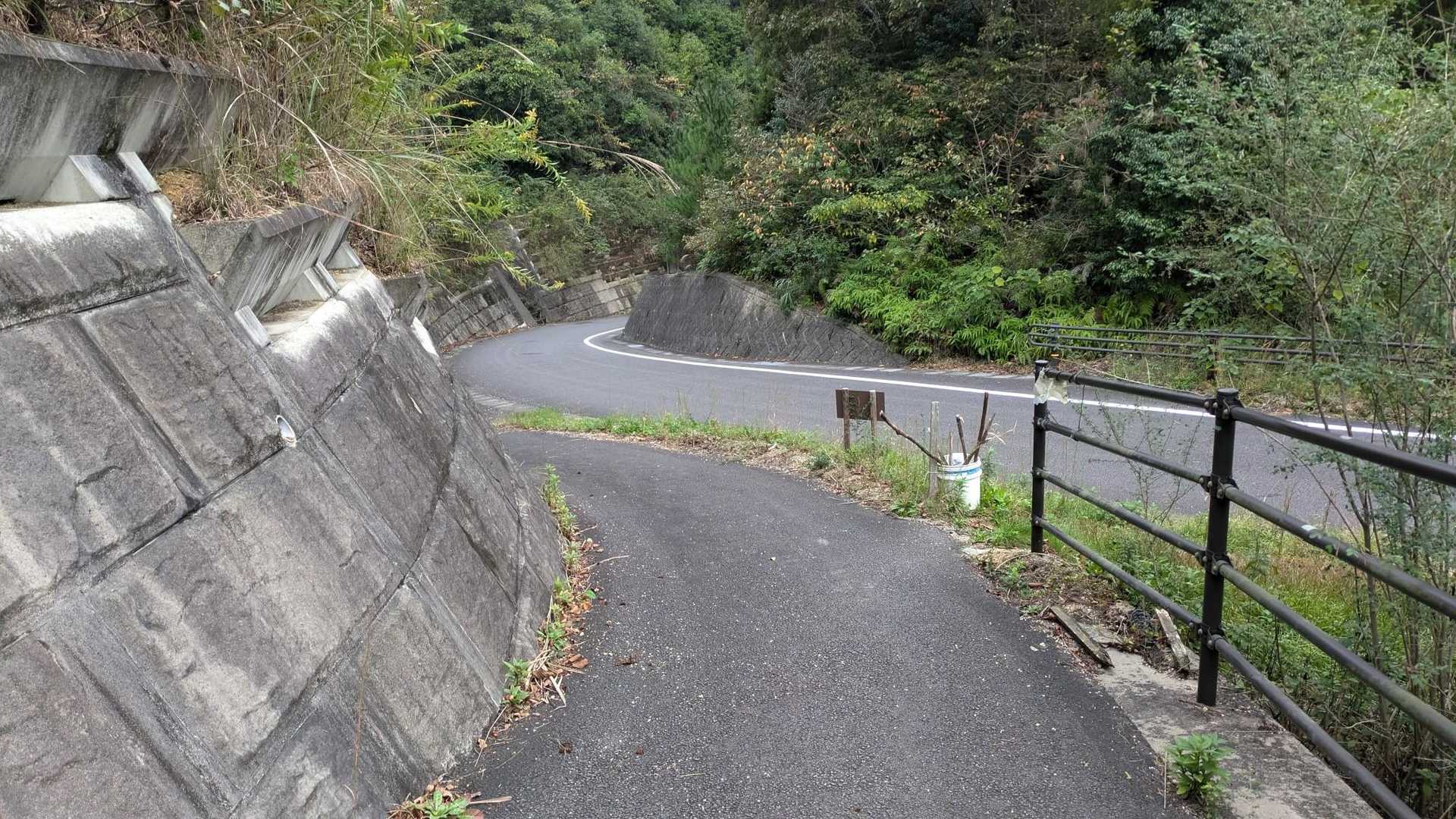 今日も無事にゲザンヌ💃