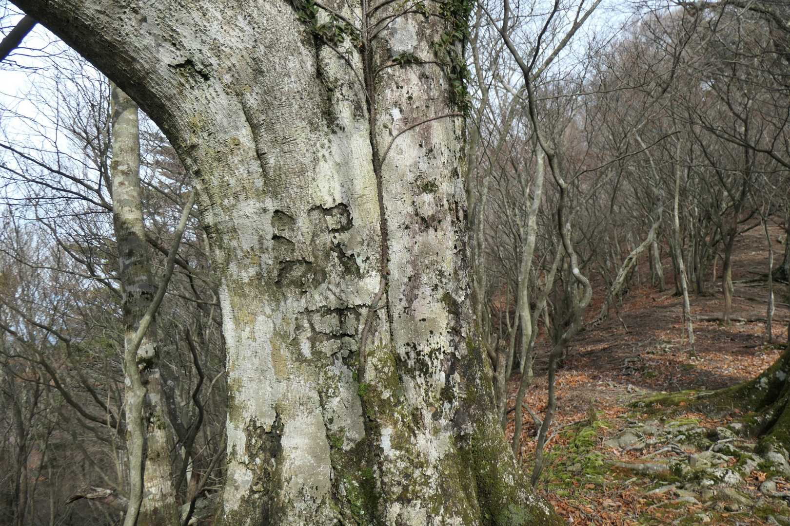 沢田❓🤔