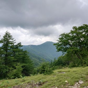 下山では、ちょっと雲が晴れ
七ツ石山から
雲取山の山頂が見えました
