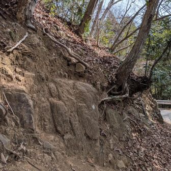 牧馬峠からの登山口…だけどこれ、わからないよね