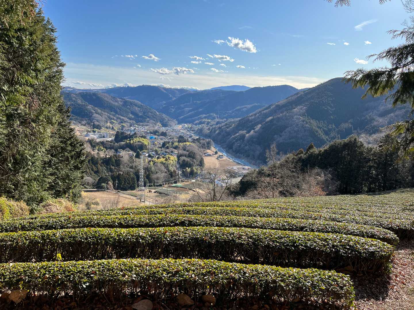 「やっと麓に降りてきた」そう感じた瞬間でした

今日は鍋割山山頂からの景色が素晴らしかったのですが、このときが今日一番ほっとしたときでした。