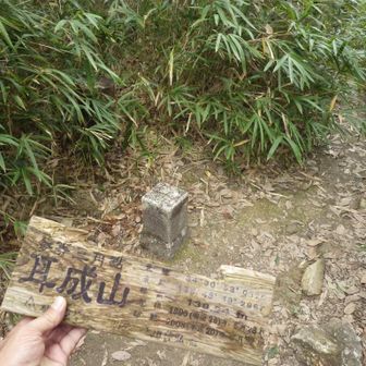 大和三山　最初の山　「耳成山」（”みみなしやま”と読みます）
三角点と落ちてた山頂碑
山の中は、蚊に刺される