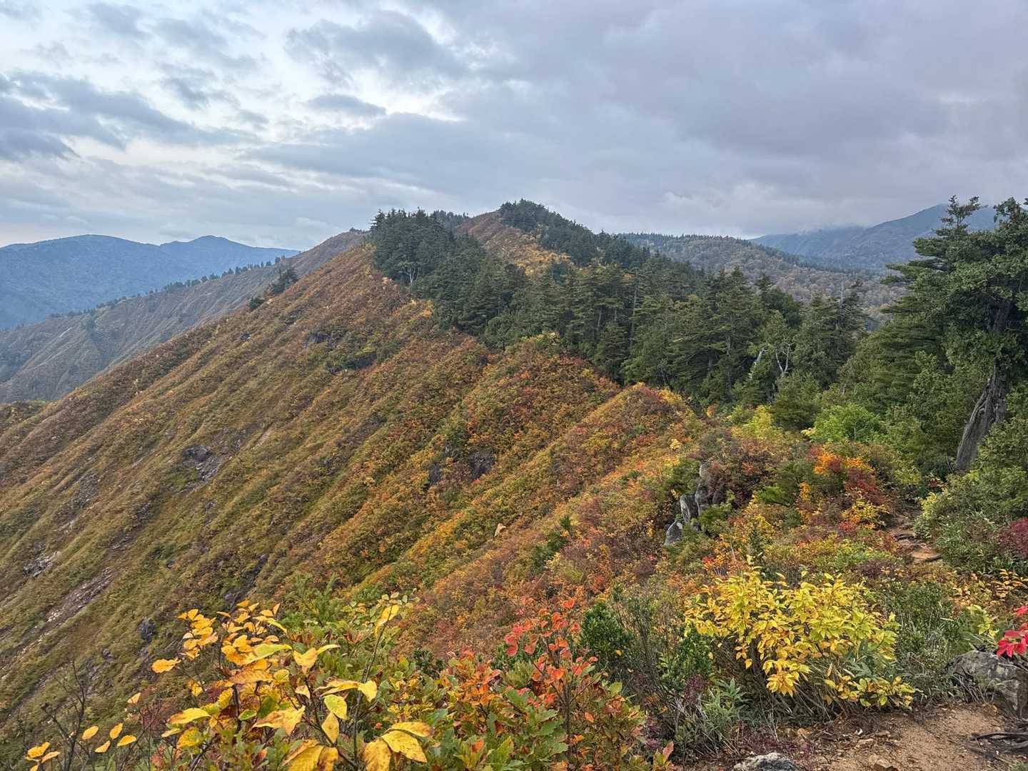 平ヶ岳往復 | 山小屋なし、難関コースの頂に広がる秘境の高層湿原の写真