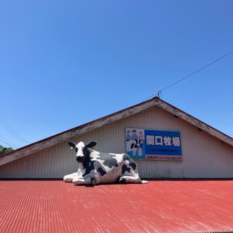 ソフトクリーム楽しみにしていましたが、今日は12時30分からの営業でした🍦