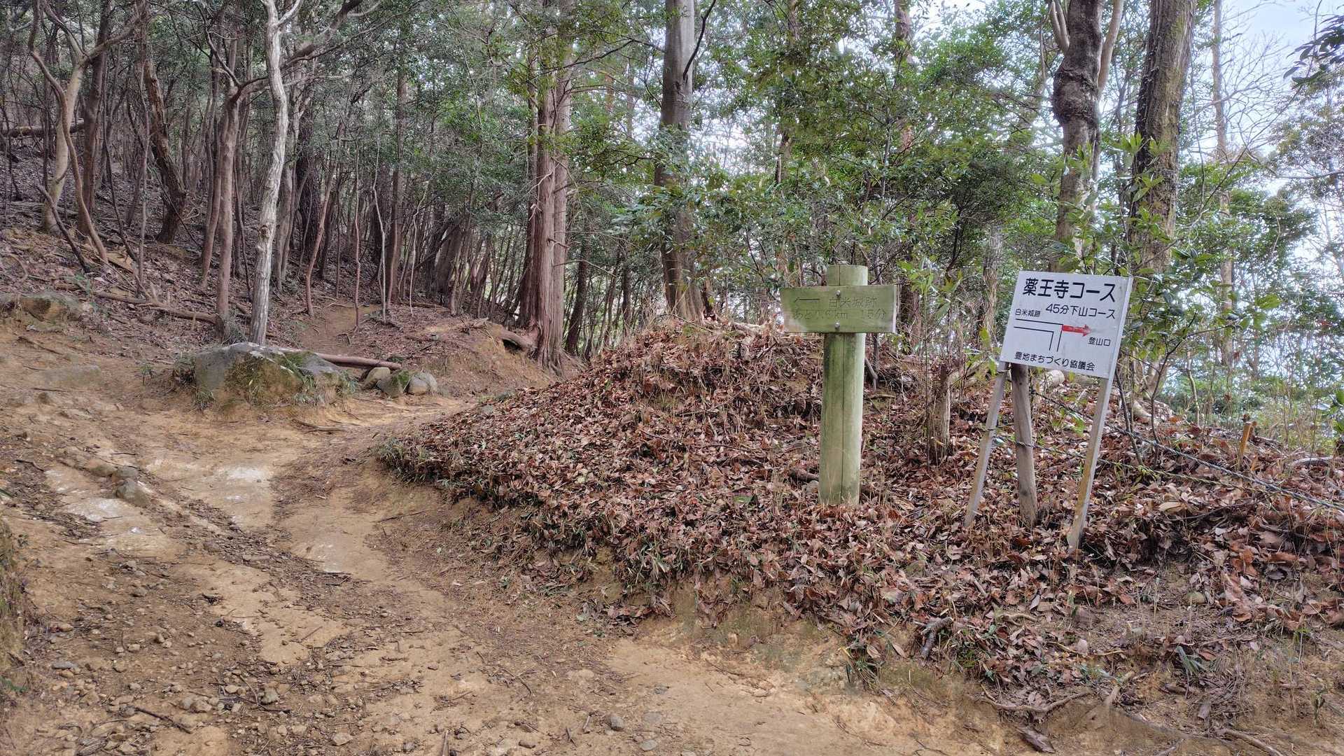 直登、巻道、薬王寺分岐
