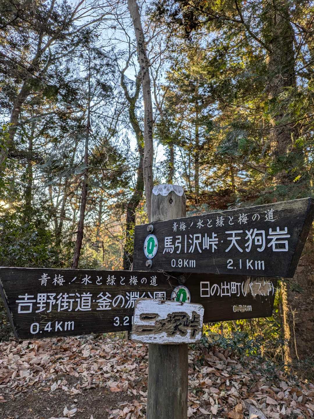 案内が3方向になるとテンパる
