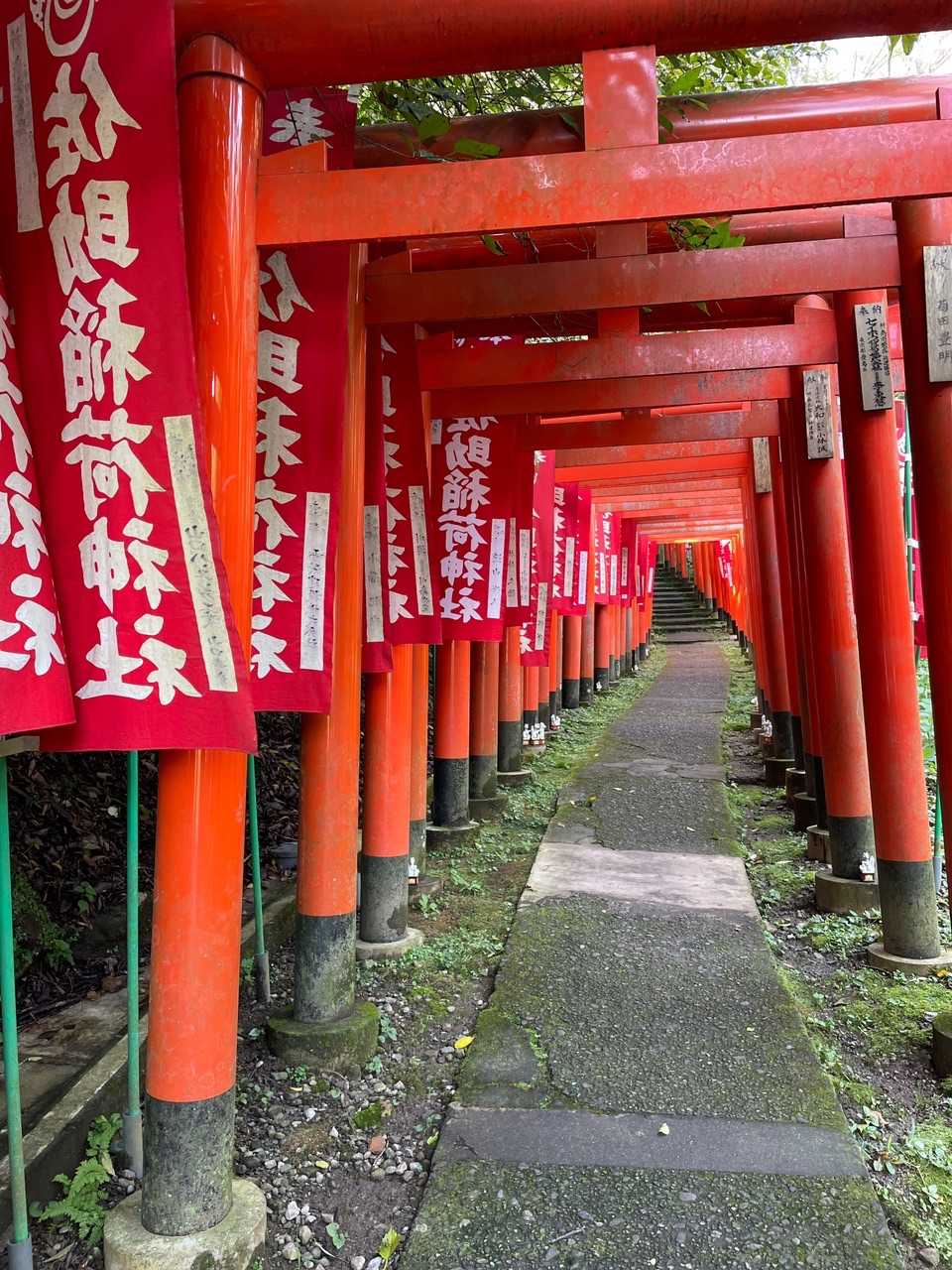北鎌倉駅-北鎌倉バス停-明月院バス停-葛原岡ハイキングコー 縦走コースの写真