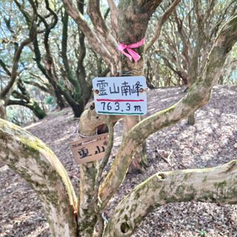 霊山南峰
763m