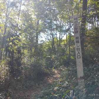 見晴台へ
