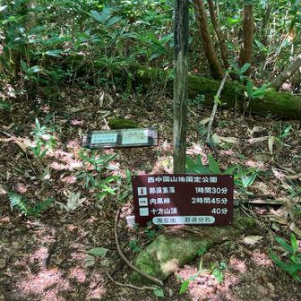 那須分かれ、この側にあった前三ツ倉見逃しました😅