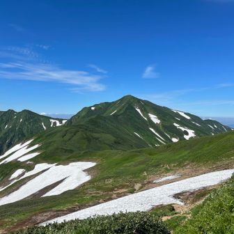 mountshira