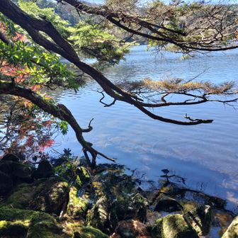 美しい😍✨️
次回はゆっくりと過ごしたいな✨️