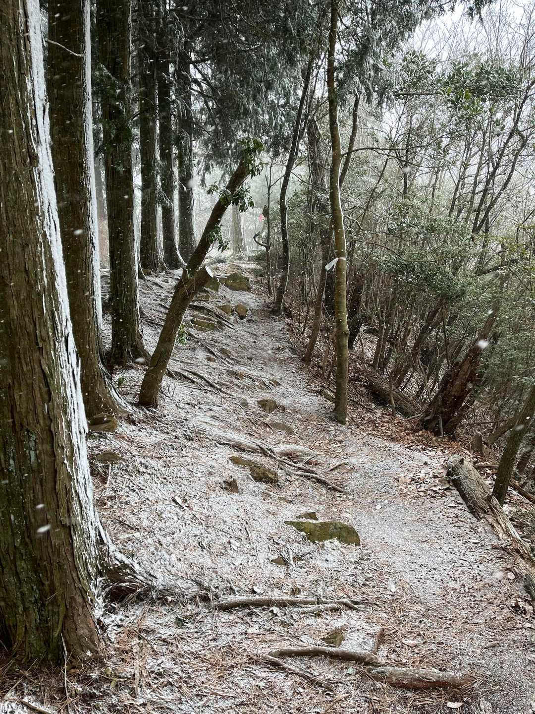 ここで食べます、寒い🥶