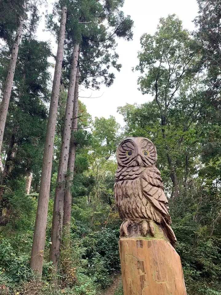 泰光寺山の写真
