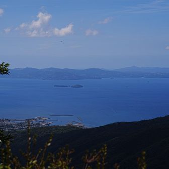 　　　　天草下島
　　　長島
前島　小島　桂島