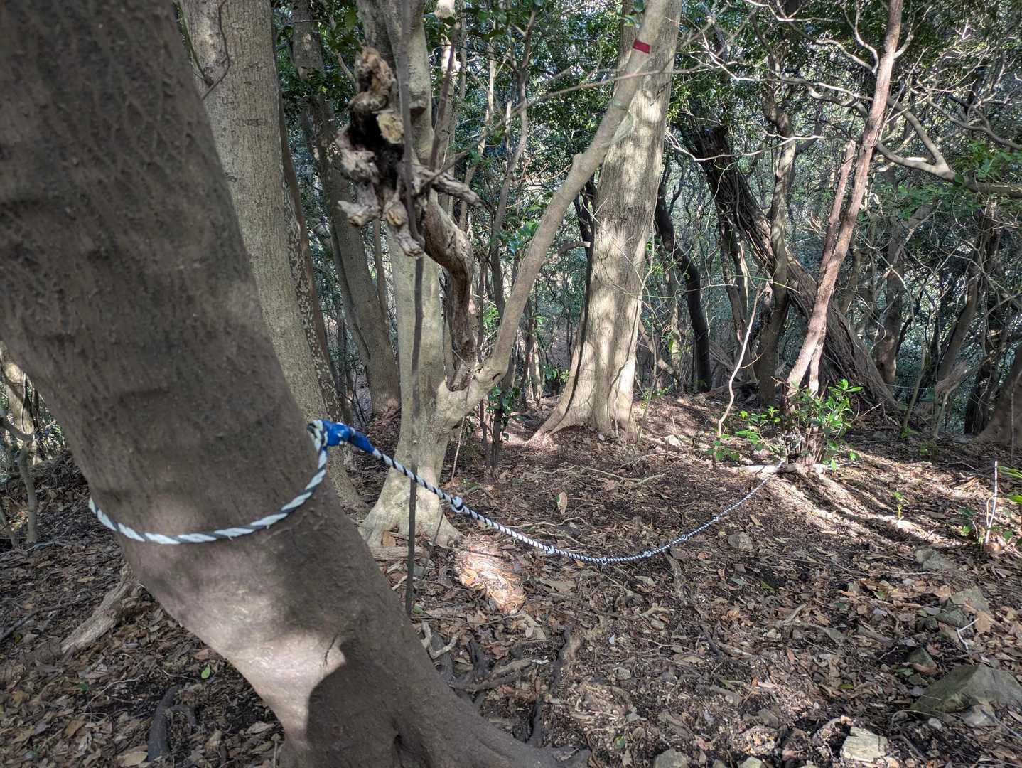 からの、ロープの激くだり…
つまり三ノ岳は けっこうな急登で囲まれてる？！