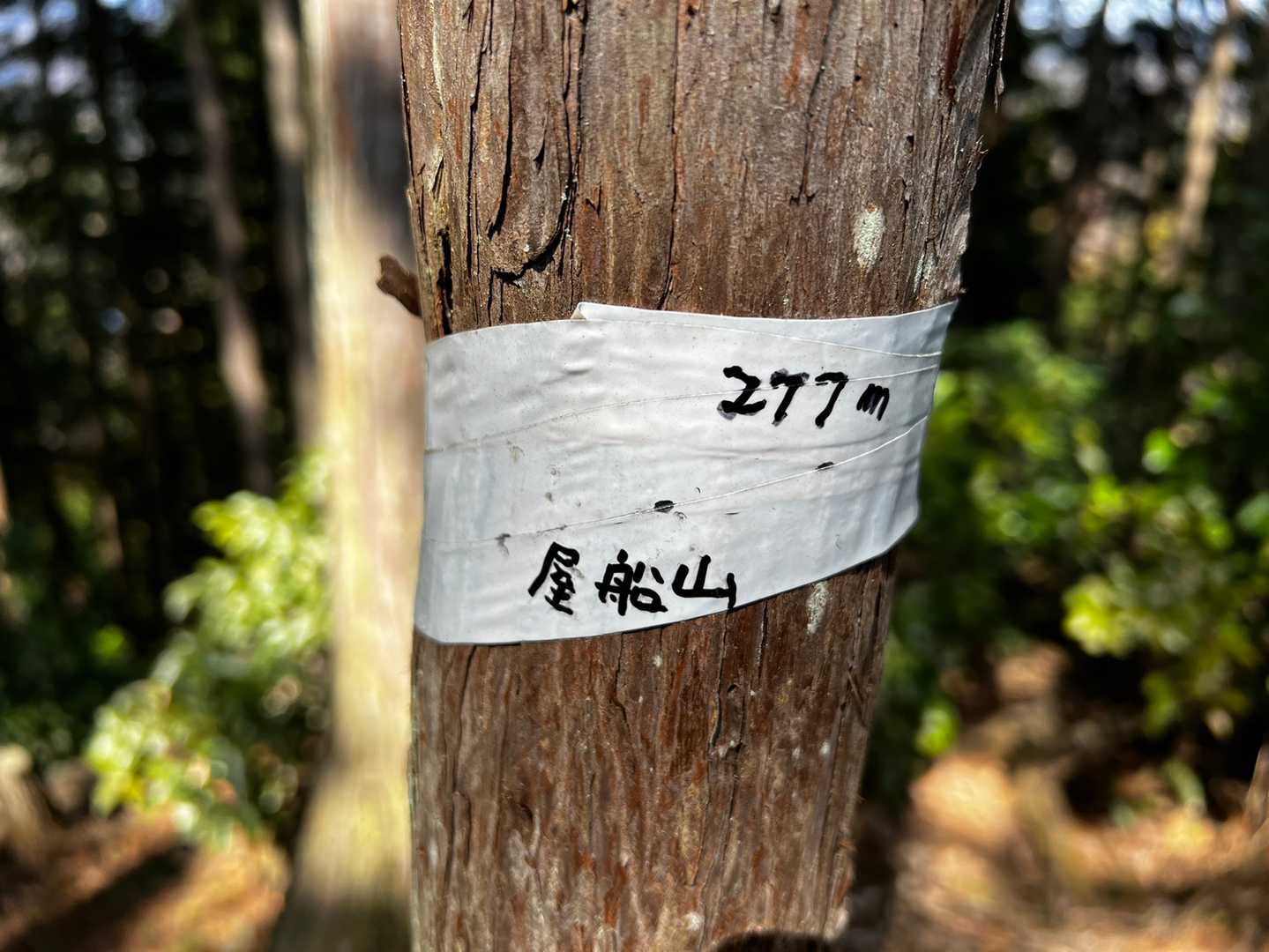 屋船山⛰飯能百名山
