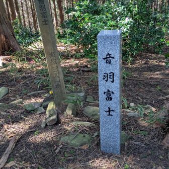 音羽富士到着