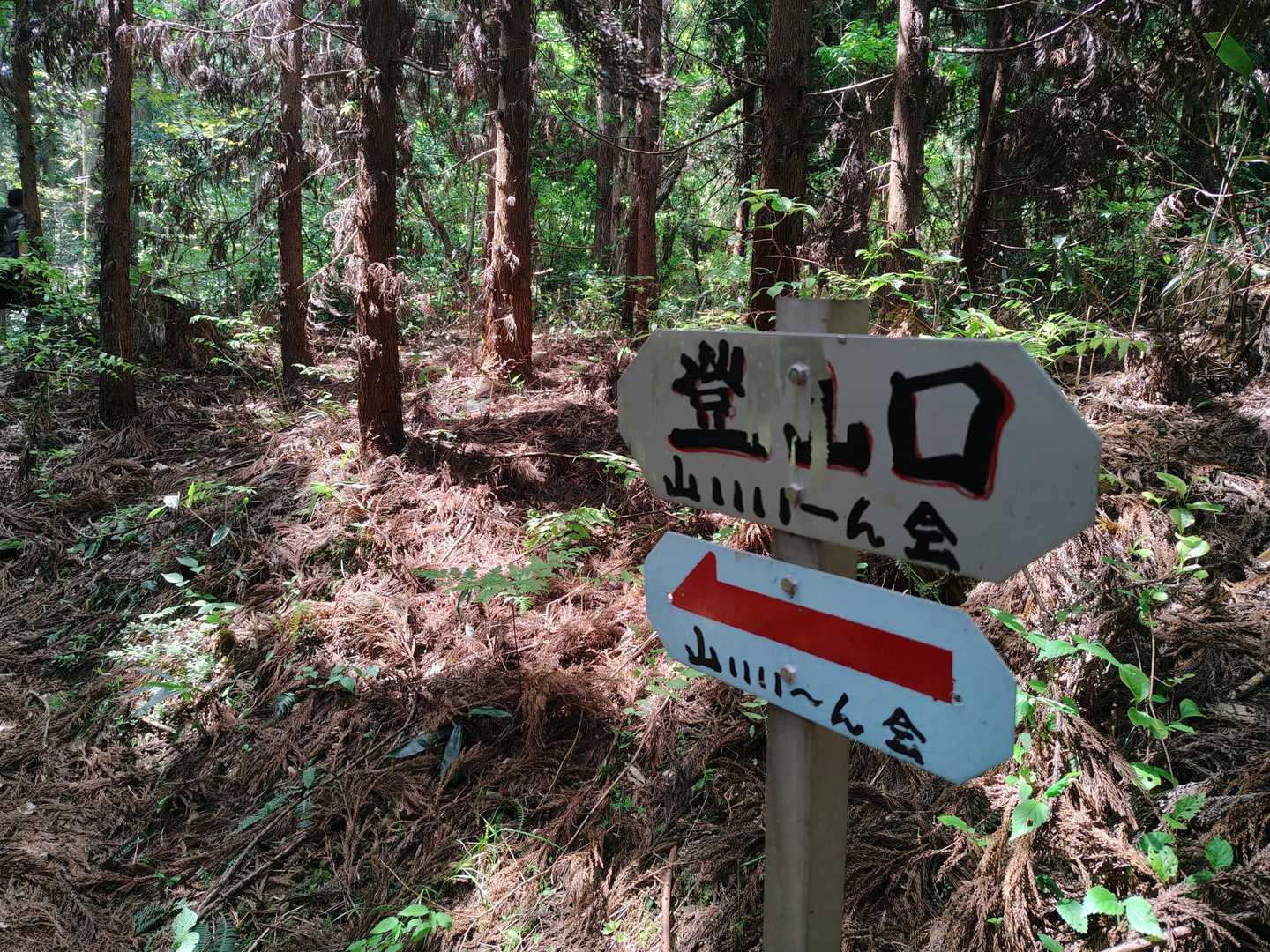 山いい〜ん会