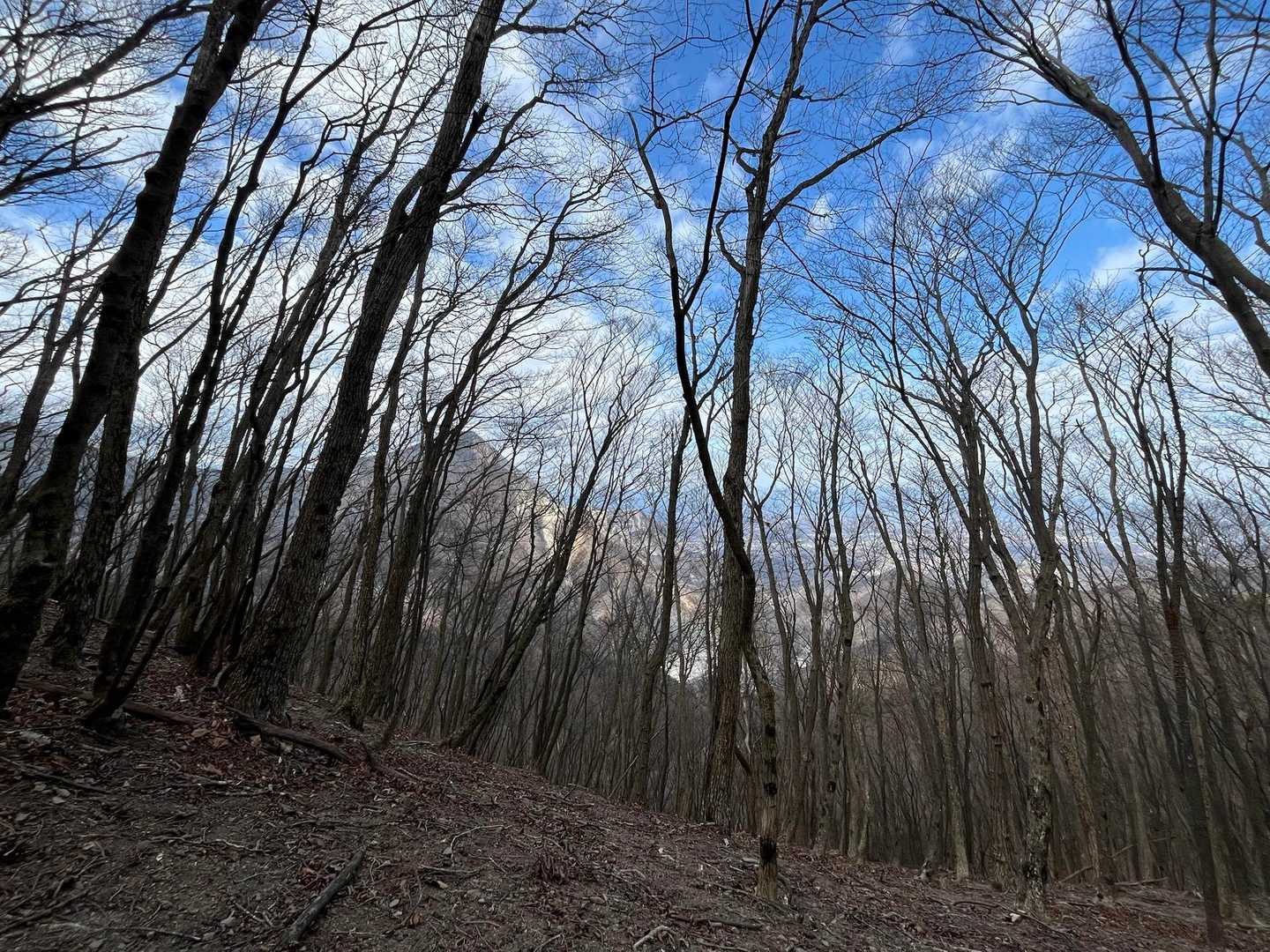 奥に武甲山がはっきり、間近に。わーい🙌