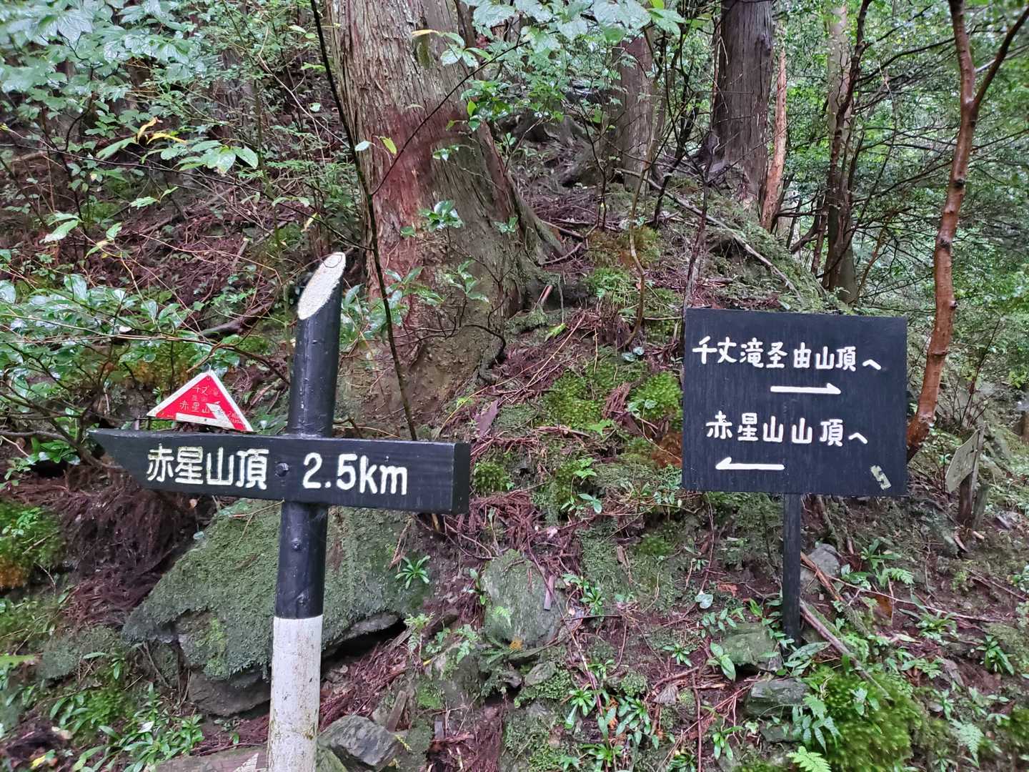 今日は千丈滝経由でなくて、通常のコースを行きます。