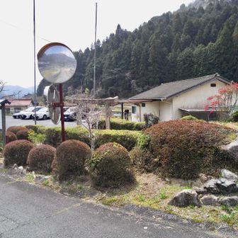 白滝山登山口🅿️駐車場に戻るルートとっても盛り沢山な登山塾でした✨…