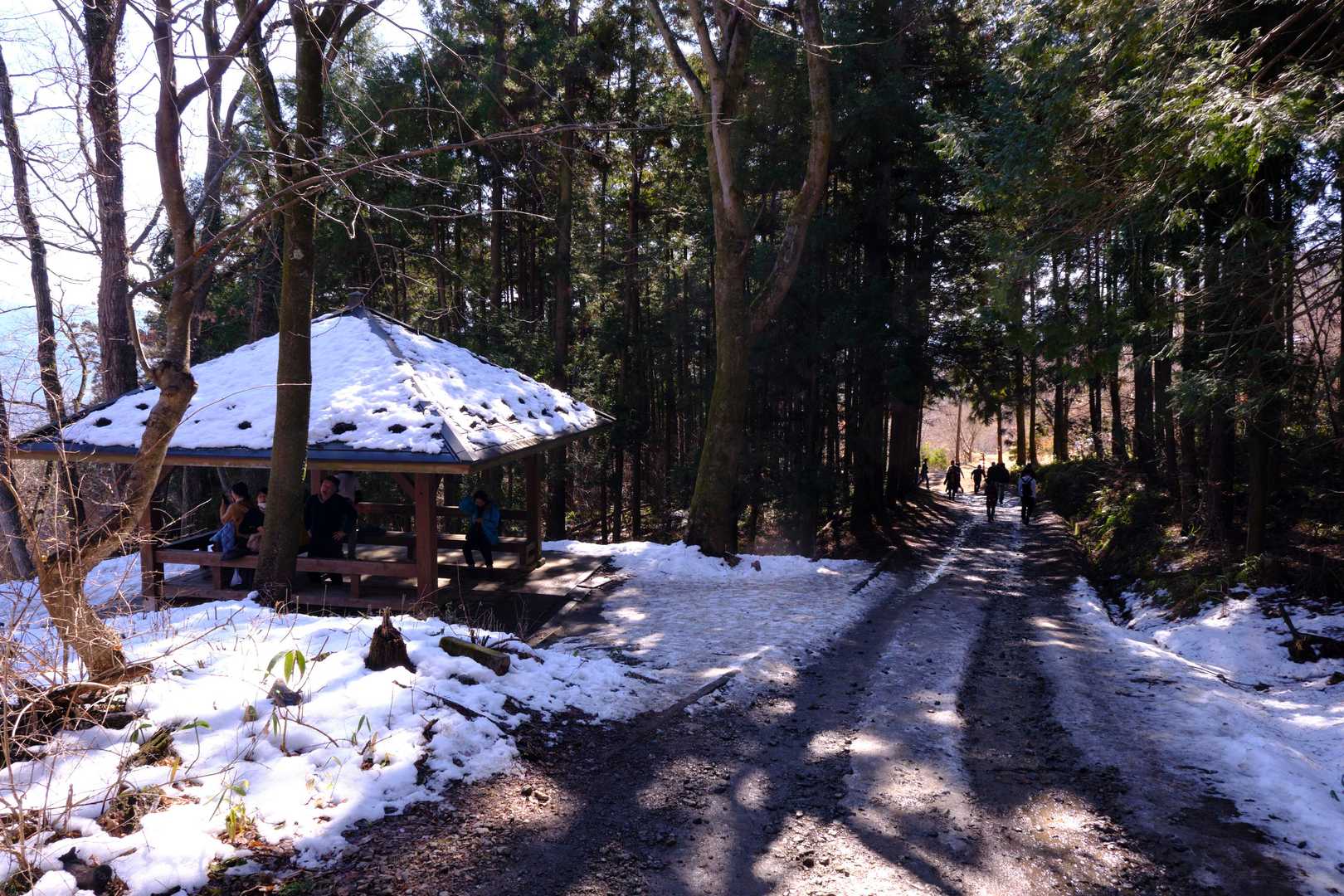 つつじ園を過ぎると、その後は麓まで林道歩きとなる。とはいえこの道は未舗装で、この日は足元に雪が残っていたり、あるいは融雪の影響でぬかるんでいる箇所も少なくなく、思ったよりもスムーズにはいかなかった。