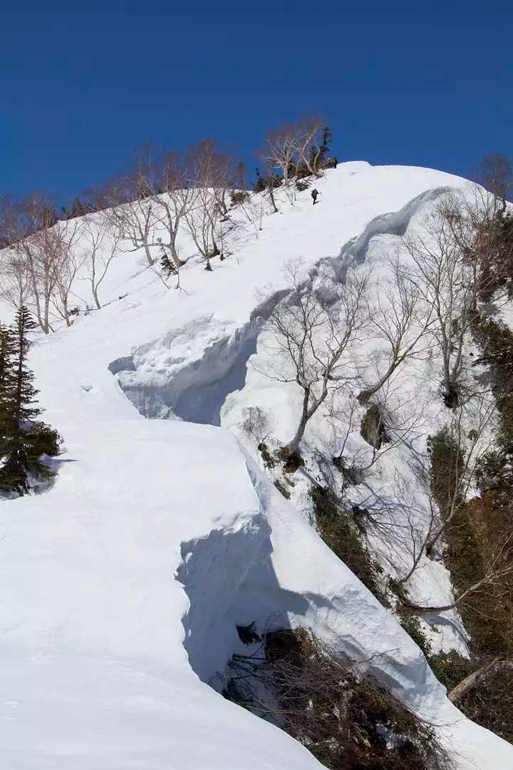 大遠見山の写真