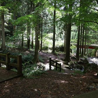 蛇淵の滝遊歩道出口  
無事に下山✌️