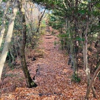 山頂までのアプローチ。ただし、山頂は長房ありません。