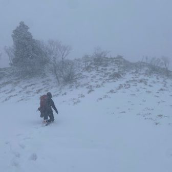 山頂ソコやのに吹雪いてる❄️
しかも、雪が深いよな！！