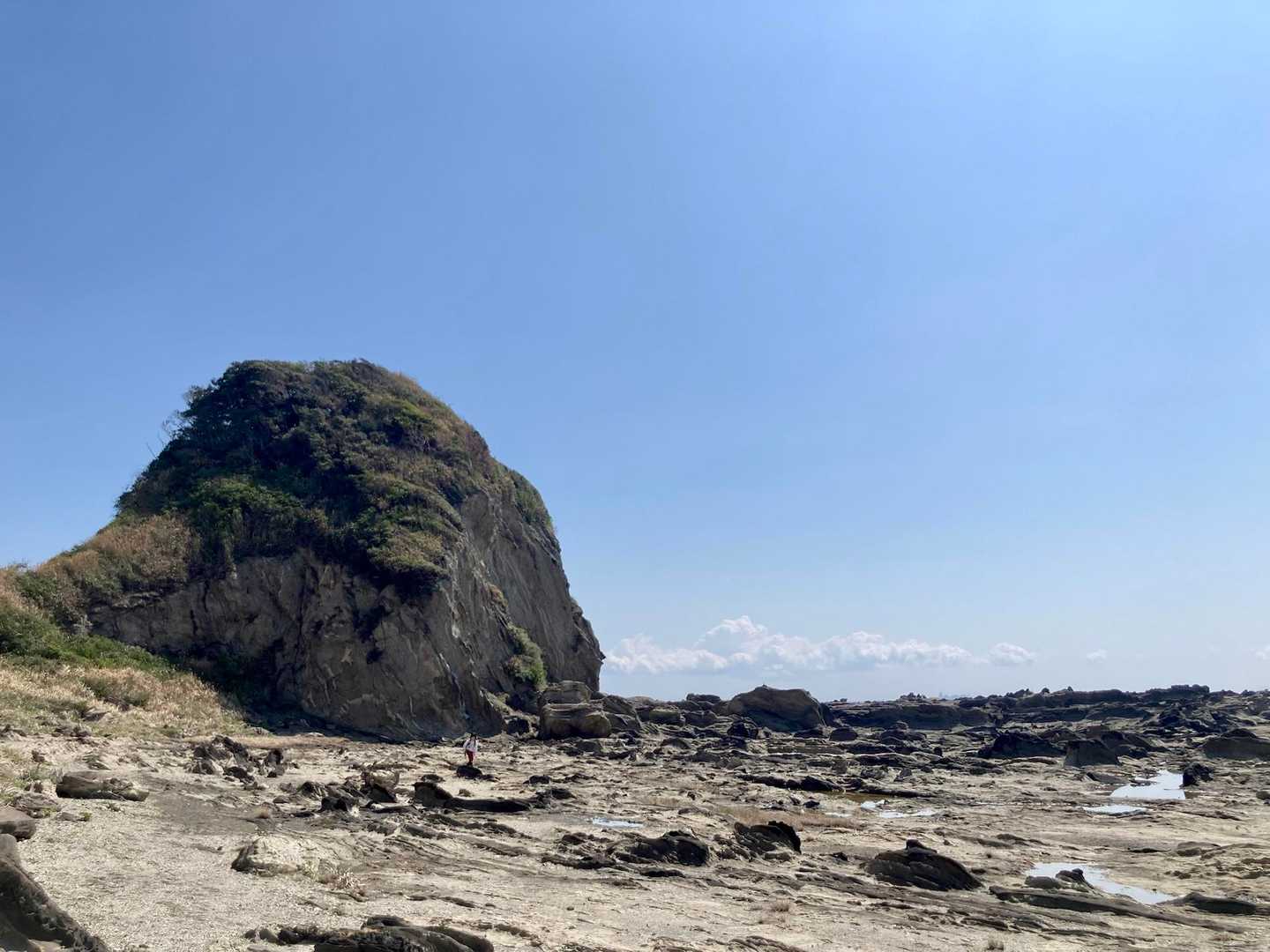 ぞうさんに見える岩。