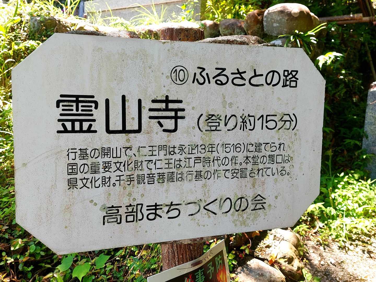 戻ってきました
