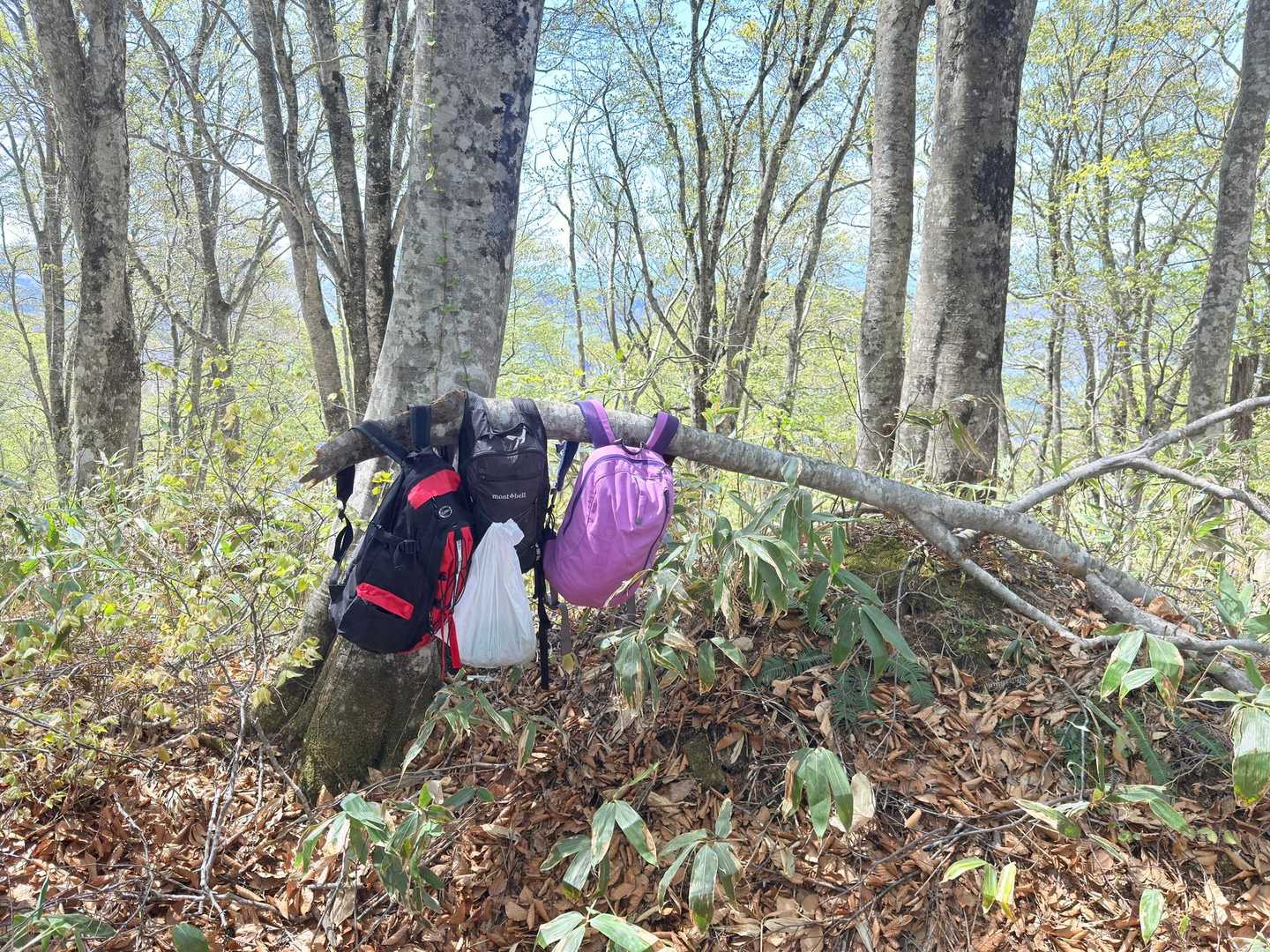 我等の荷物デボして