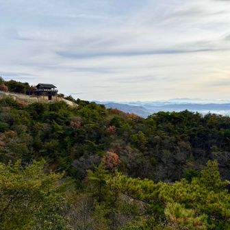 展望デッキから西門を見る