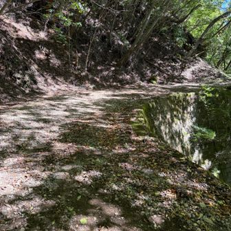 登山道