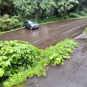 車に戻る
雨とは思わなかった🤣
お疲れ様です