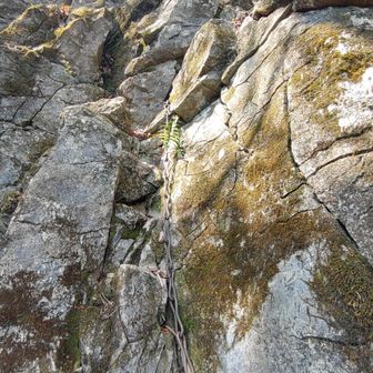 お岩戸の左側の鎖場(八海山神社へ)