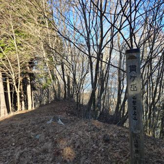 冬枯れでも眺望が効かない貫ヶ岳だが山梨100名山。