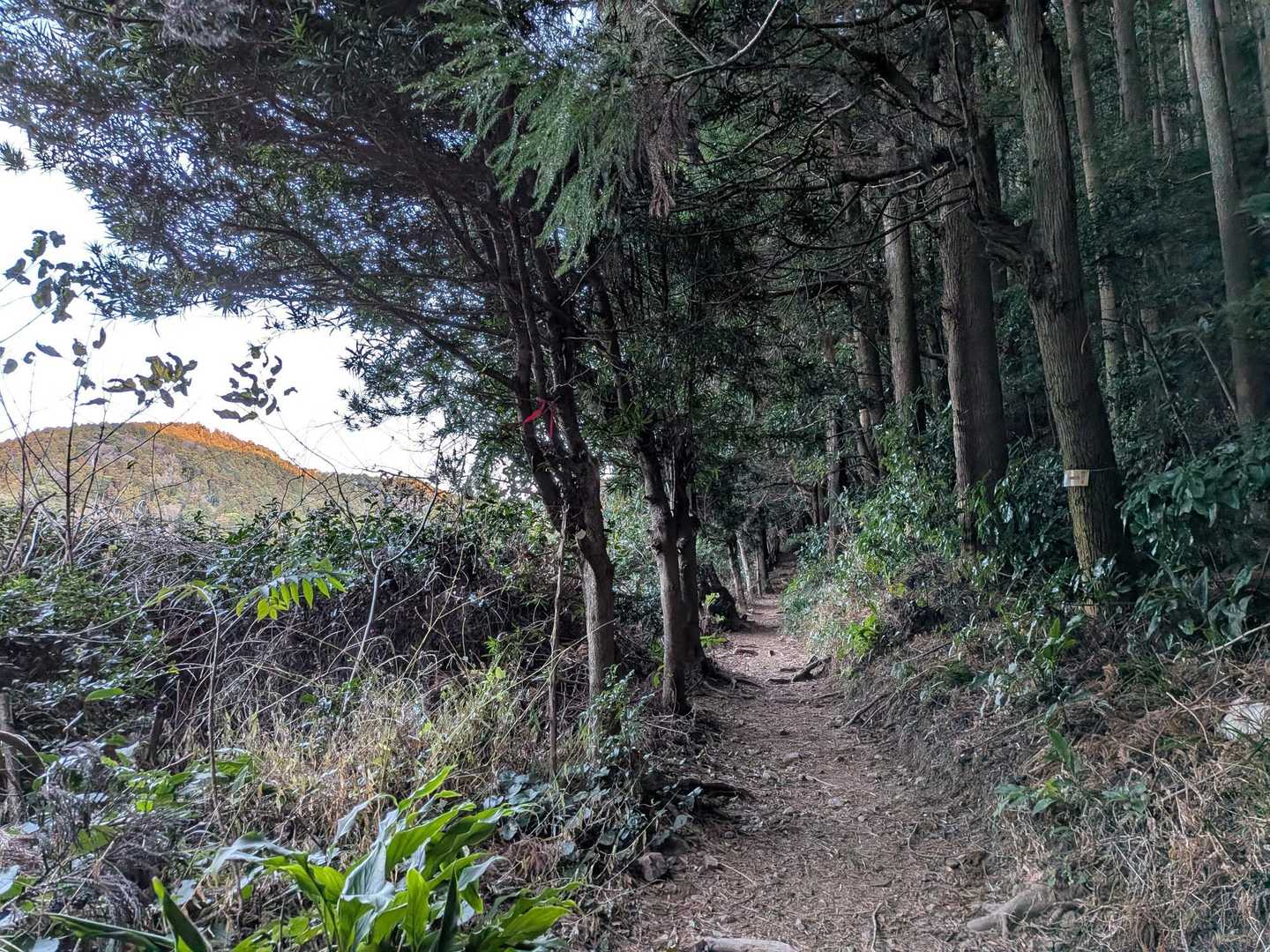 ココの道の雰囲気が、とても好き💓