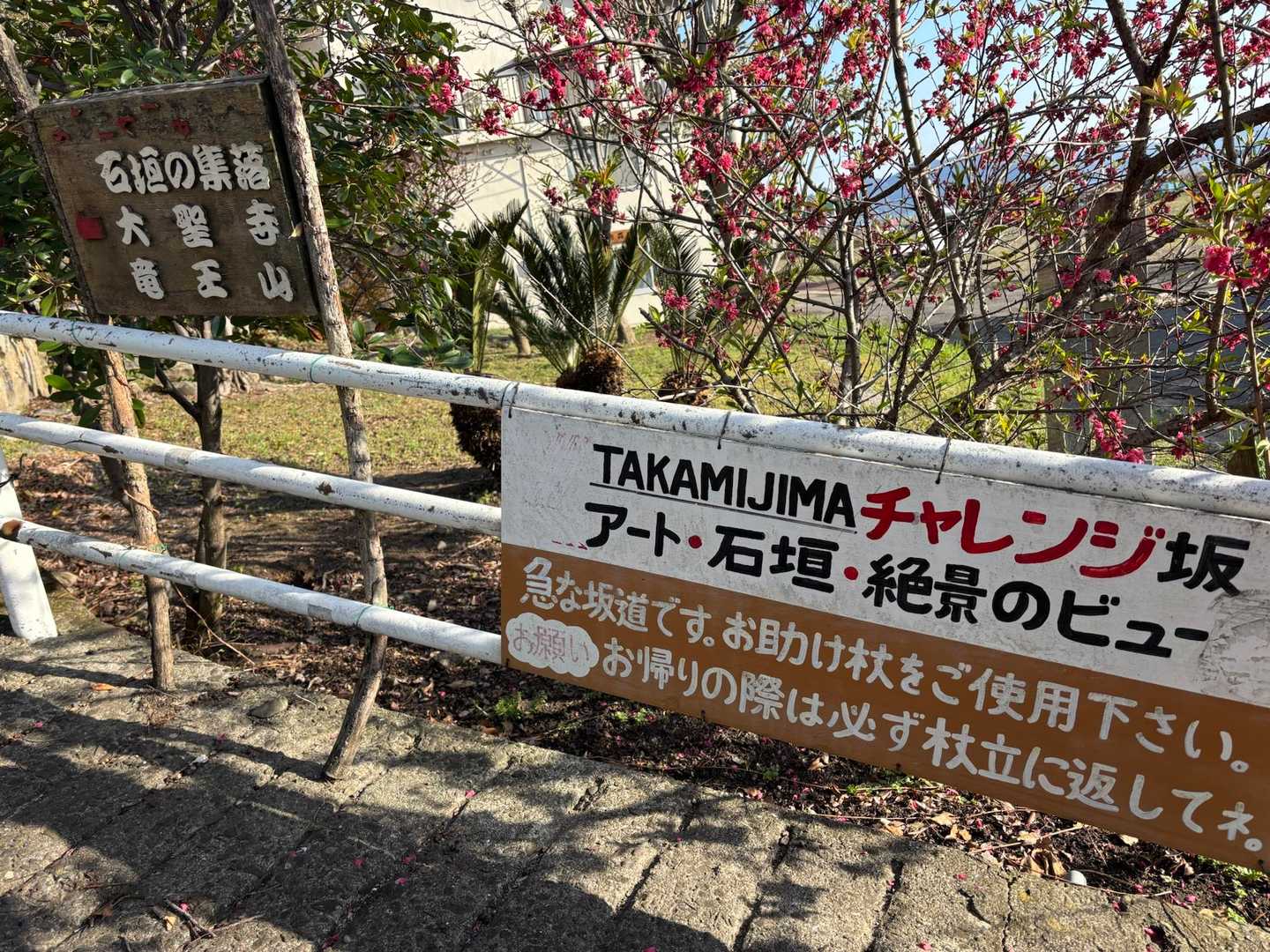 チャレンジ坂へ
なかなかの急登でした💦