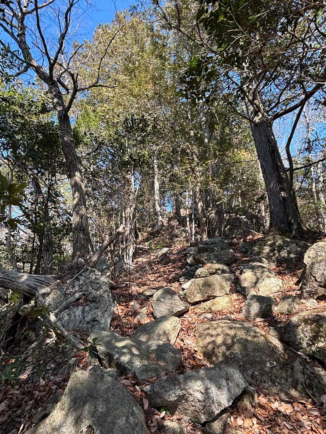 玉瀬辻バス停-古宝山 往復コースの写真