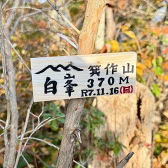 真新しい山頂プレート✨