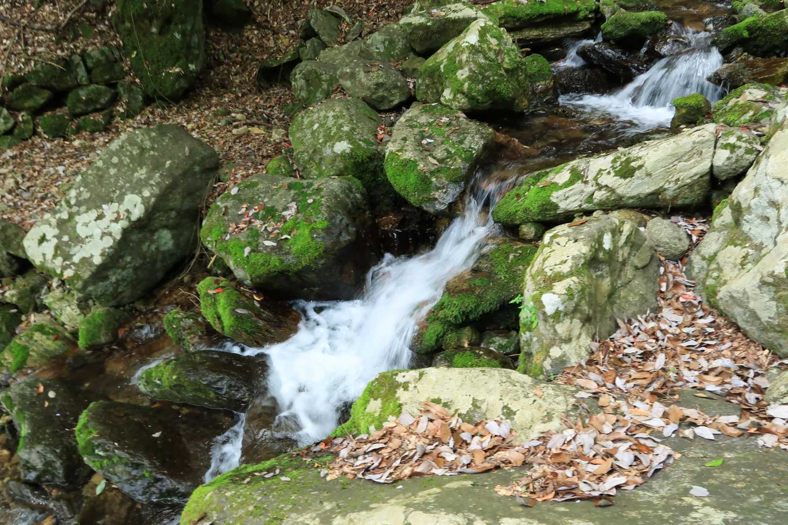 岩が苔むして滑ります